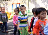 小龙鱼幼儿园